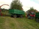 Kiszonka 2013