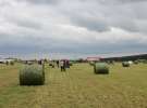 Pokazy maszyn Polskie Zboża Zielone Agro Show 2013