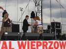 Festiwal Wieprzowiny w Bełżycach