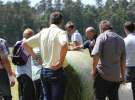 Zielone AGRO SHOW – POLSKIE ZBOŻA 2014 w Sielinku - sobota