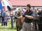 Wystawa Koni Sielinko 2011