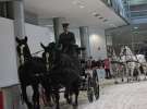 CAVALIADA 2013 w Poznaniu