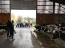 Wyjazd studyjny na farmę Langengrassau w Niemczech