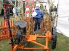 Agro Show 2013 Bednary Zdjęcie z krówką