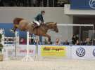 CAVALIADA 2013 w Poznaniu