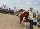 Superchampioni i championi Śląskiej Wystawy Bydła Mlecznego Opolagra 2011