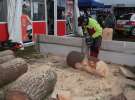 AGRO SHOW 2013 - sobota i niedziela