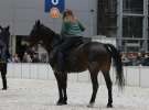 CAVALIADA 2013 w Poznaniu