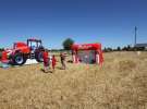 Zetor Family Tractor Show 2013 - Opatów