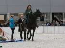 CAVALIADA 2013 w Poznaniu