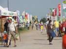 Zielone AGRO SHOW – POLSKIE ZBOŻA 2014 w Sielinku - sobota