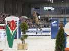 CAVALIADA 2013 w Poznaniu