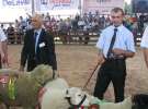 Owce- Szepietowo 2012 XIX Regionalna Wystawa Zwierząt Hodowlanych