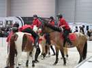 CAVALIADA 2013 w Poznaniu
