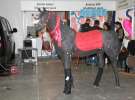 CAVALIADA 2013 w Poznaniu