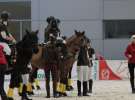 CAVALIADA 2013 w Poznaniu
