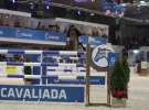 CAVALIADA 2013 w Poznaniu
