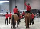 CAVALIADA 2013 w Poznaniu