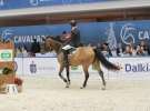 CAVALIADA 2013 w Poznaniu