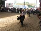 Młody Hodowca - Szepietowo 2012 XIX Regionalna Wystawa Zwierząt Hodowlanych