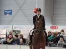 CAVALIADA 2013 w Poznaniu