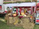 Ogólnopolski Festiwal Wieprzowiny w Łasinie