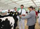 Wystawa bydła Sielinko 2011