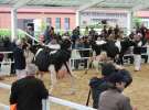 VII Ogólnopolska Wystawa Bydła Hodowlanego - Sielinko 2012