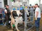 Dni Otwarte w GR Hendripol sp. z o.o.