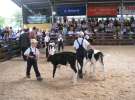 Młody Hodowca - Szepietowo 2012 XIX Regionalna Wystawa Zwierząt Hodowlanych
