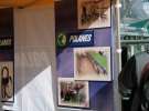 Agro Show 2012 Bednary foto-katalog firm cz.1