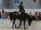 CAVALIADA 2013 w Poznaniu