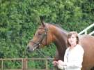 Wystawa Koni Sielinko 2011