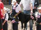 Młody Hodowca - Szepietowo 2012 XIX Regionalna Wystawa Zwierząt Hodowlanych