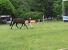 Wystawa Koni Sielinko 2011