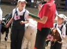 Młody Hodowca - Szepietowo 2012 XIX Regionalna Wystawa Zwierząt Hodowlanych