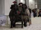 CAVALIADA 2013 w Poznaniu
