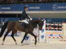 CAVALIADA 2013 w Poznaniu