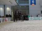 CAVALIADA 2013 w Poznaniu