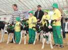 Mali Hodowcy VII Ogólnopolska Wystawa Bydła Hodowlanego w Sielinku 2012