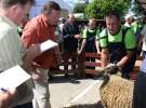 Owce- Szepietowo 2012 XIX Regionalna Wystawa Zwierząt Hodowlanych