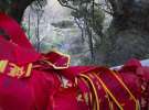 Gospodarz.pl w Chinach
