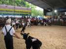 Młody Hodowca - Szepietowo 2012 XIX Regionalna Wystawa Zwierząt Hodowlanych