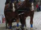 CAVALIADA 2013 w Poznaniu