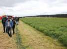 Polskie Zboża i Zielone Agro Show 2013