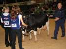 Wystawa  Blickpunkt Rind 2013 w miejscowości Paaren/Glien (Niemcy)