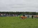 Polskie Zboża i Zielone Agro Show 2013