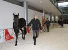 CAVALIADA 2013 w Poznaniu