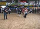 Młody Hodowca - Szepietowo 2012 XIX Regionalna Wystawa Zwierząt Hodowlanych