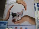 Targi AGROTECH i LAS EXPO 2013 - sobota i niedziela